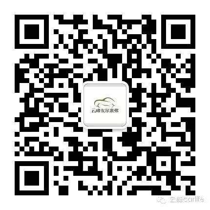 云顶yd2223线路检测